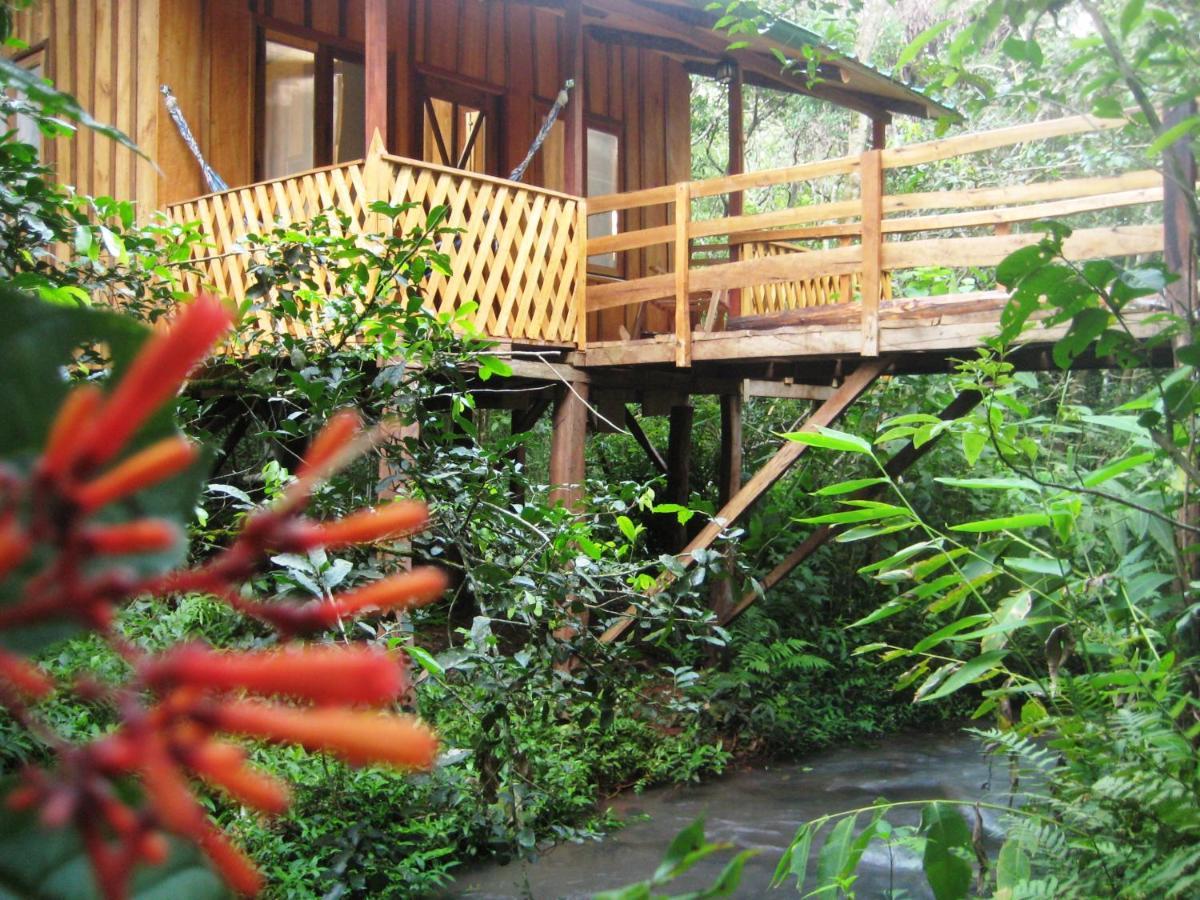 Yasi Yatere Reserva Agroecologica 엘 소베르비오 외부 사진