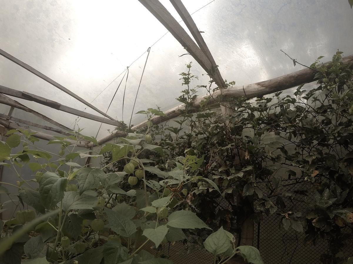 Yasi Yatere Reserva Agroecologica 엘 소베르비오 외부 사진