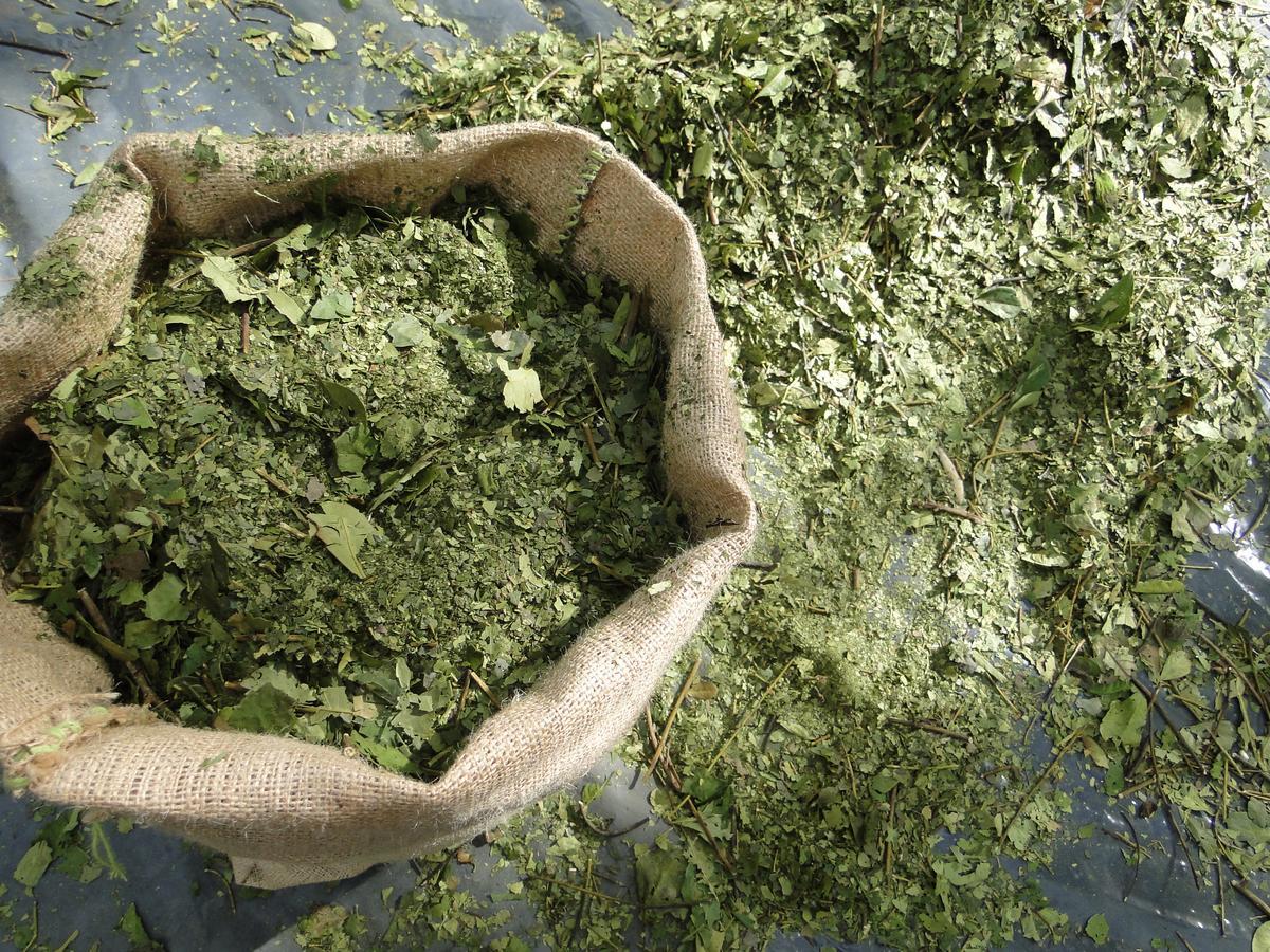 Yasi Yatere Reserva Agroecologica 엘 소베르비오 외부 사진
