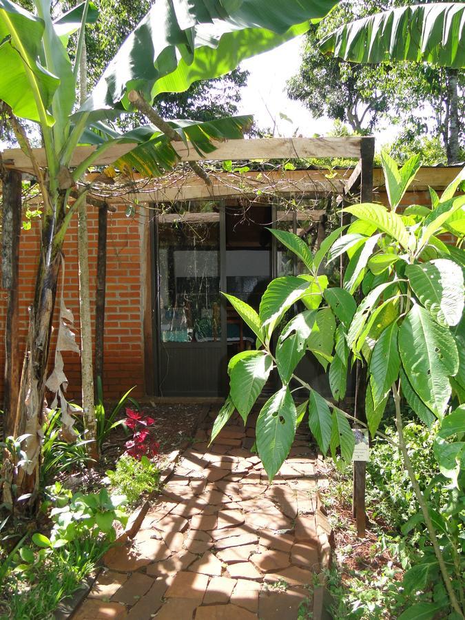 Yasi Yatere Reserva Agroecologica 엘 소베르비오 외부 사진